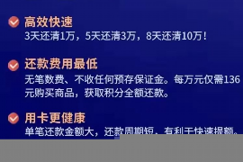 惠来遇到恶意拖欠？专业追讨公司帮您解决烦恼